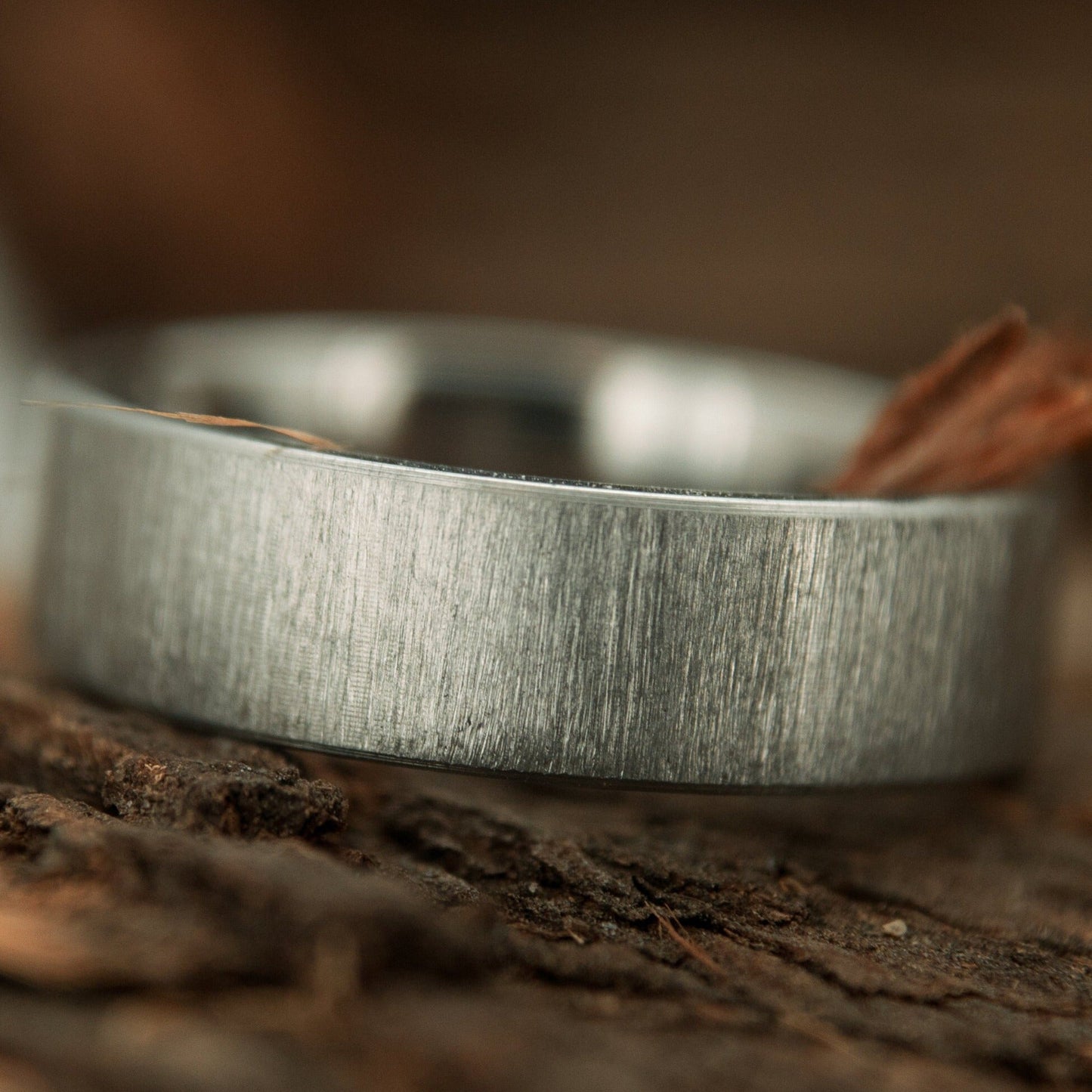 Brushed Titanium Band