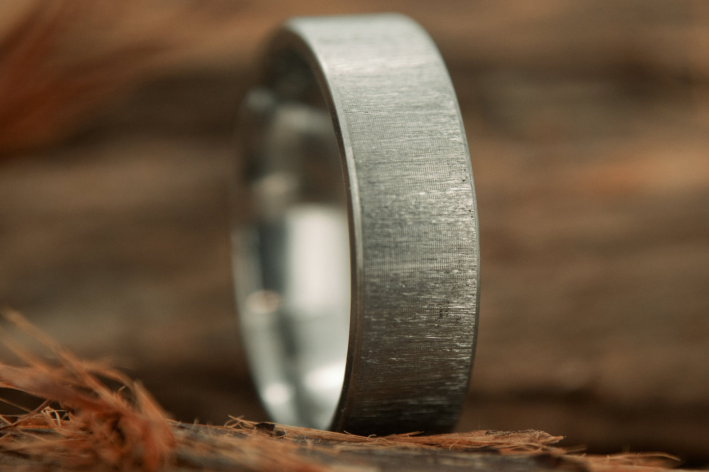 Brushed Titanium Band